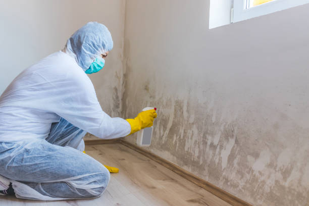 Licensed Mold Remediation service in Knightdale, NC - 24 Hour Mold Removal