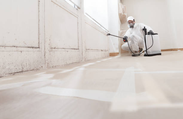 24/7 Emergency Mold Remediation experts in Knightdale, NC