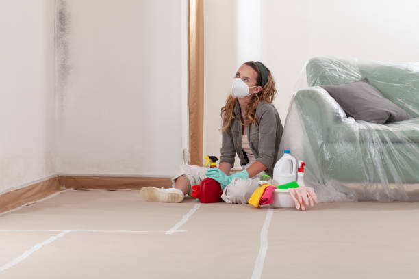 Reliable Mold Remediation contractor in Knightdale, NC by 24 Hour Mold Removal
