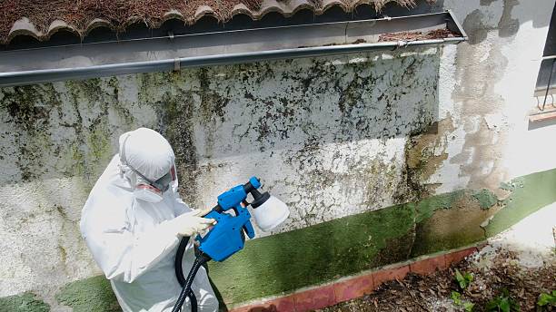 Top rated local Mold Remediation specialists in Knightdale, NC